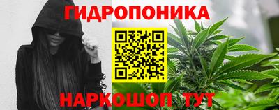 ешки Анжеро-Судженск