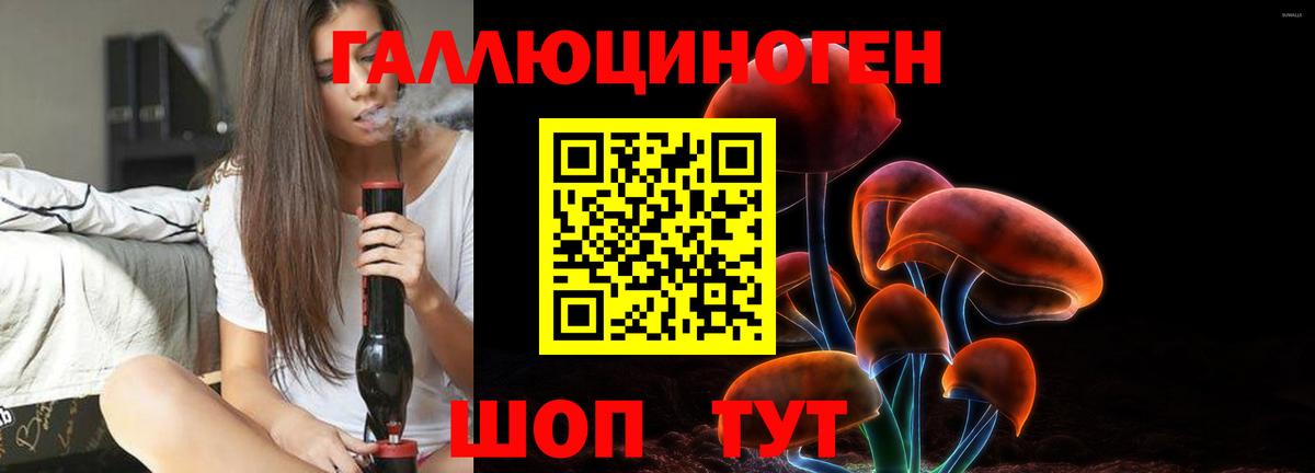 Псилоцибиновые грибы MAGIC MUSHROOMS  Вход с VPN  Выборг 